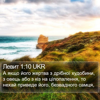 Левит 1:10 UKR Bible Verse Image