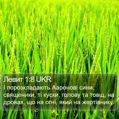 Левит 1:8 UKR Bible Verse Image