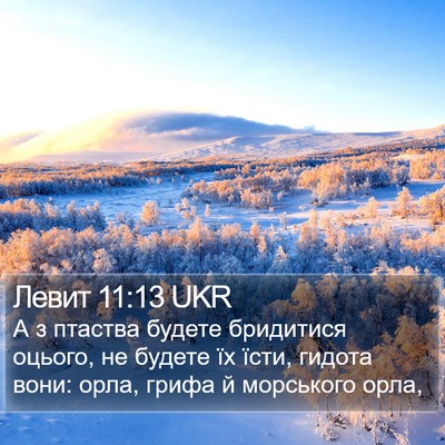 Левит 11:13 UKR Bible Verse Image