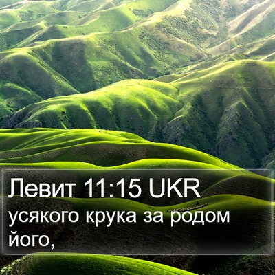 Левит 11:15 UKR Bible Verse Image