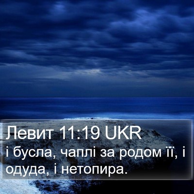 Левит 11:19 UKR Bible Verse Image