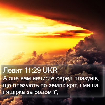 Левит 11:29 UKR Bible Verse Image