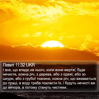 Левит 11:32 UKR Bible Verse Image