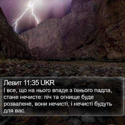 Левит 11:35 UKR Bible Verse Image
