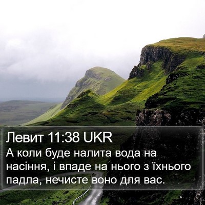 Левит 11:38 UKR Bible Verse Image