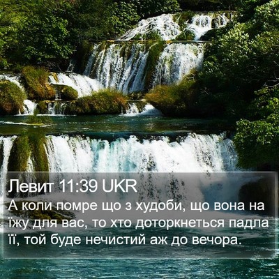 Левит 11:39 UKR Bible Verse Image