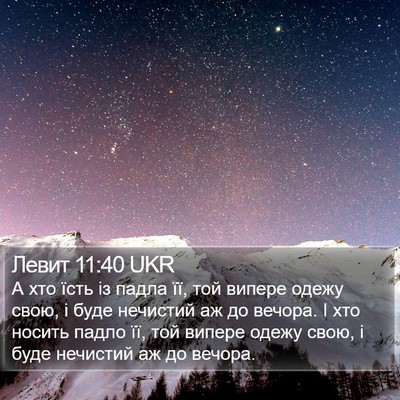 Левит 11:40 UKR Bible Verse Image