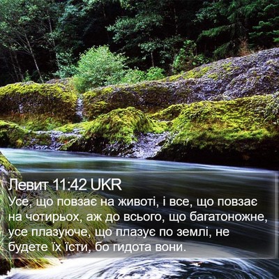 Левит 11:42 UKR Bible Verse Image