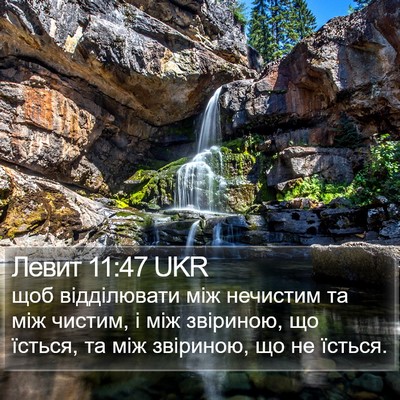 Левит 11:47 UKR Bible Verse Image