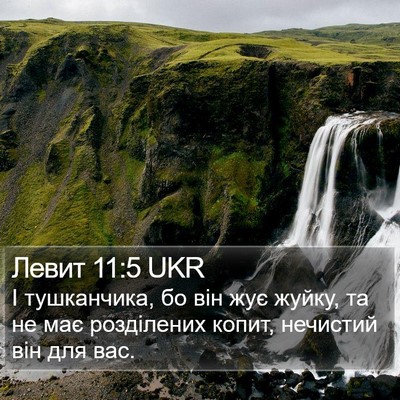 Левит 11:5 UKR Bible Verse Image
