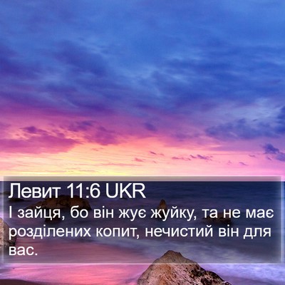 Левит 11:6 UKR Bible Verse Image