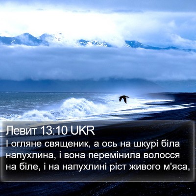 Левит 13:10 UKR Bible Verse Image