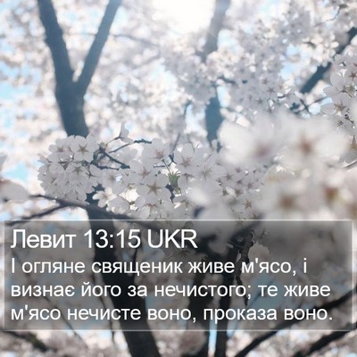 Левит 13:15 UKR Bible Verse Image