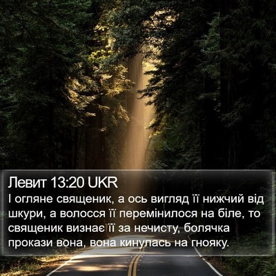 Левит 13:20 UKR Bible Verse Image