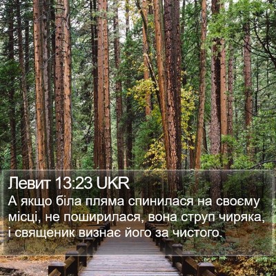 Левит 13:23 UKR Bible Verse Image
