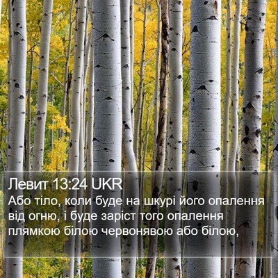 Левит 13:24 UKR Bible Verse Image