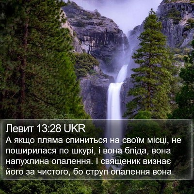 Левит 13:28 UKR Bible Verse Image