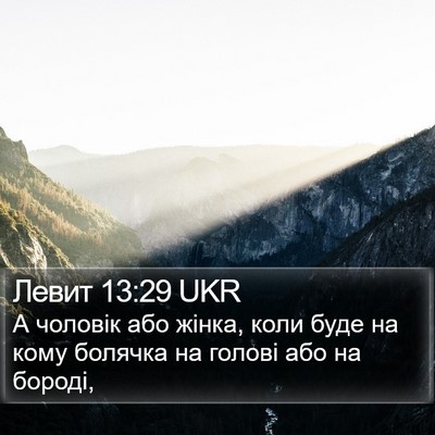 Левит 13:29 UKR Bible Verse Image
