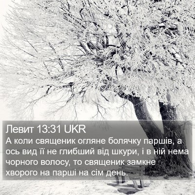 Левит 13:31 UKR Bible Verse Image