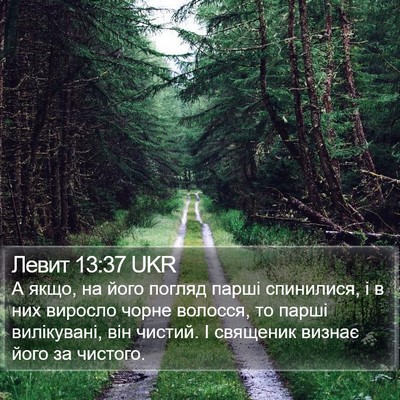 Левит 13:37 UKR Bible Verse Image