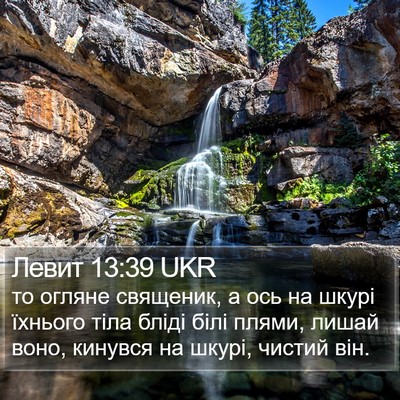 Левит 13:39 UKR Bible Verse Image