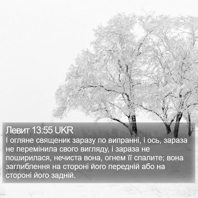 Левит 13:55 UKR Bible Verse Image