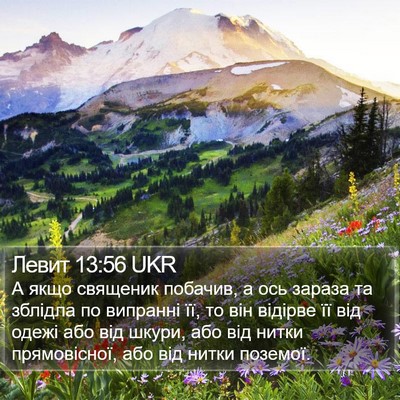 Левит 13:56 UKR Bible Verse Image