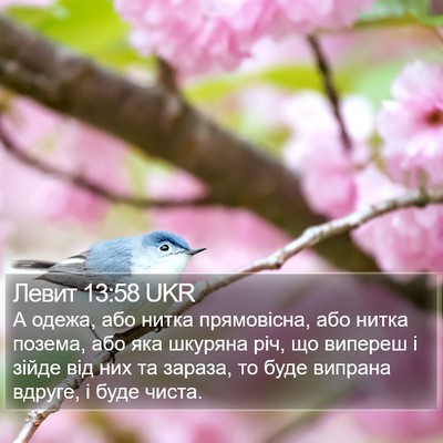 Левит 13:58 UKR Bible Verse Image