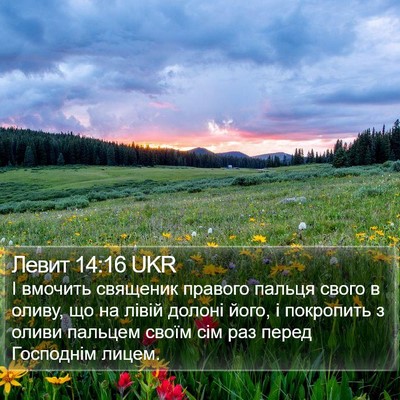 Левит 14:16 UKR Bible Verse Image