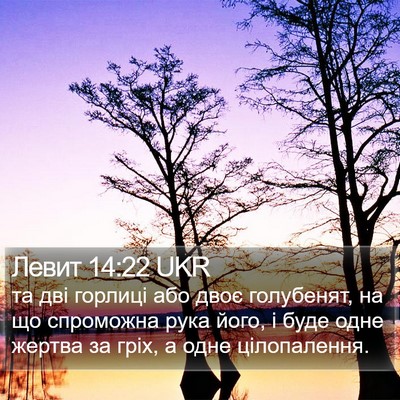 Левит 14:22 UKR Bible Verse Image