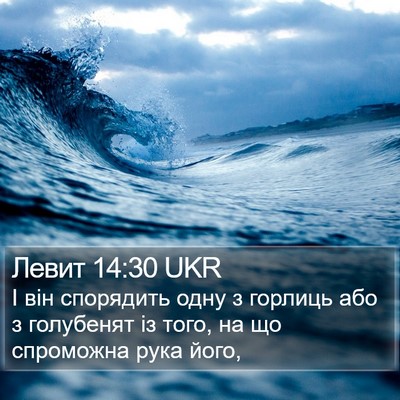 Левит 14:30 UKR Bible Verse Image