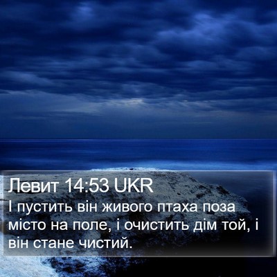 Левит 14:53 UKR Bible Verse Image