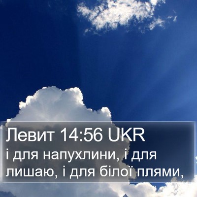 Левит 14:56 UKR Bible Verse Image