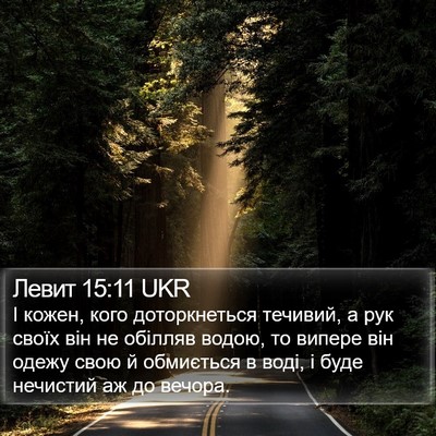 Левит 15:11 UKR Bible Verse Image