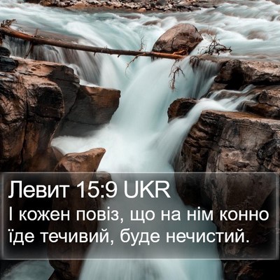 Левит 15:9 UKR Bible Verse Image