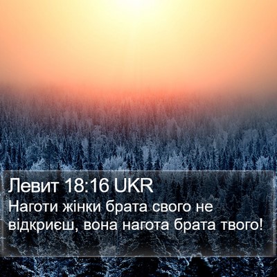 Левит 18:16 UKR Bible Verse Image