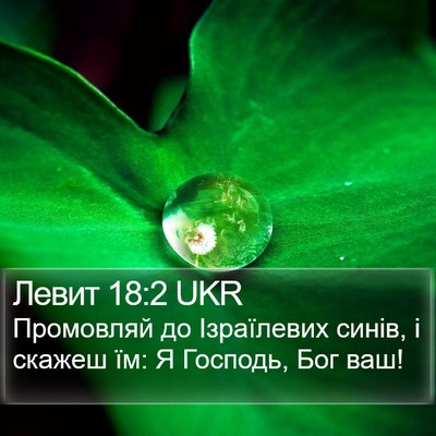 Левит 18:2 UKR Bible Verse Image