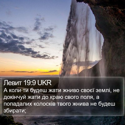 Левит 19:9 UKR Bible Verse Image