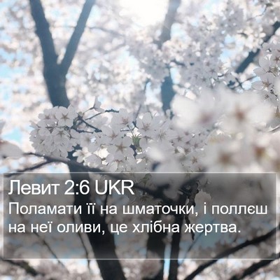 Левит 2:6 UKR Bible Verse Image