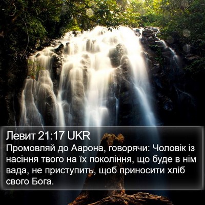 Левит 21:17 UKR Bible Verse Image