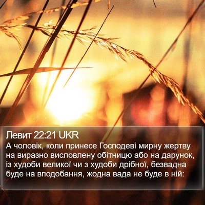 Левит 22:21 UKR Bible Verse Image