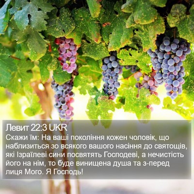 Левит 22:3 UKR Bible Verse Image
