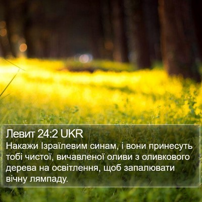 Левит 24:2 UKR Bible Verse Image