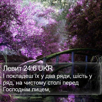 Левит 24:6 UKR Bible Verse Image