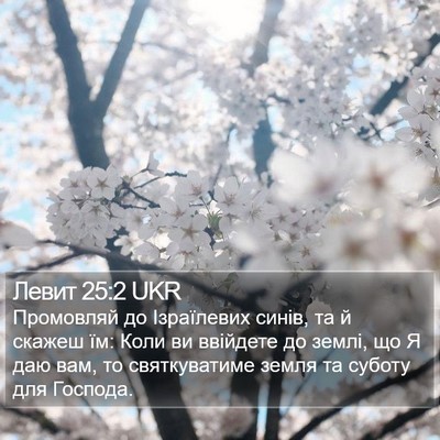 Левит 25:2 UKR Bible Verse Image