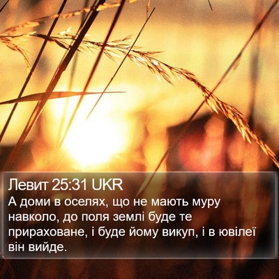 Левит 25:31 UKR Bible Verse Image