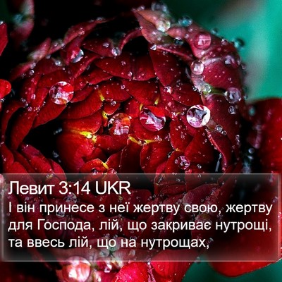 Левит 3:14 UKR Bible Verse Image
