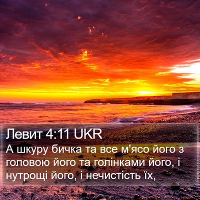 Левит 4:11 UKR Bible Verse Image