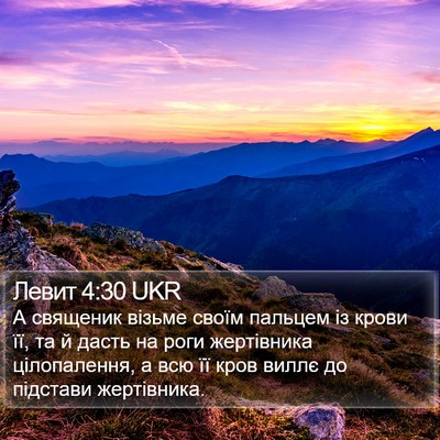 Левит 4:30 UKR Bible Verse Image