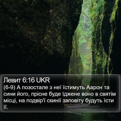 Левит 6:16 UKR Bible Verse Image